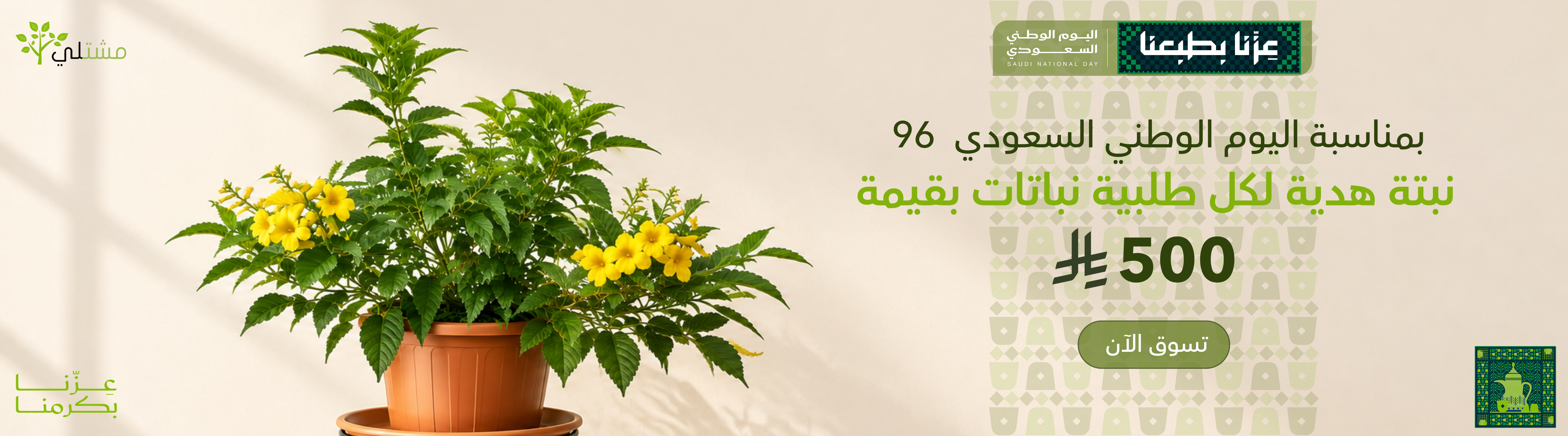 عروض اليوم الوطني