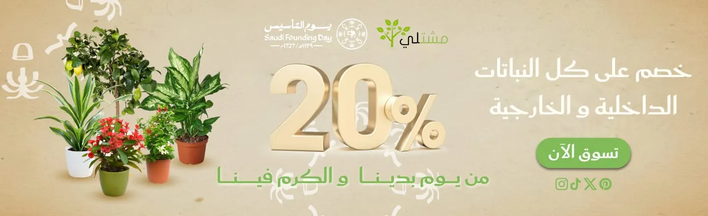 عروض اليوم الوطني