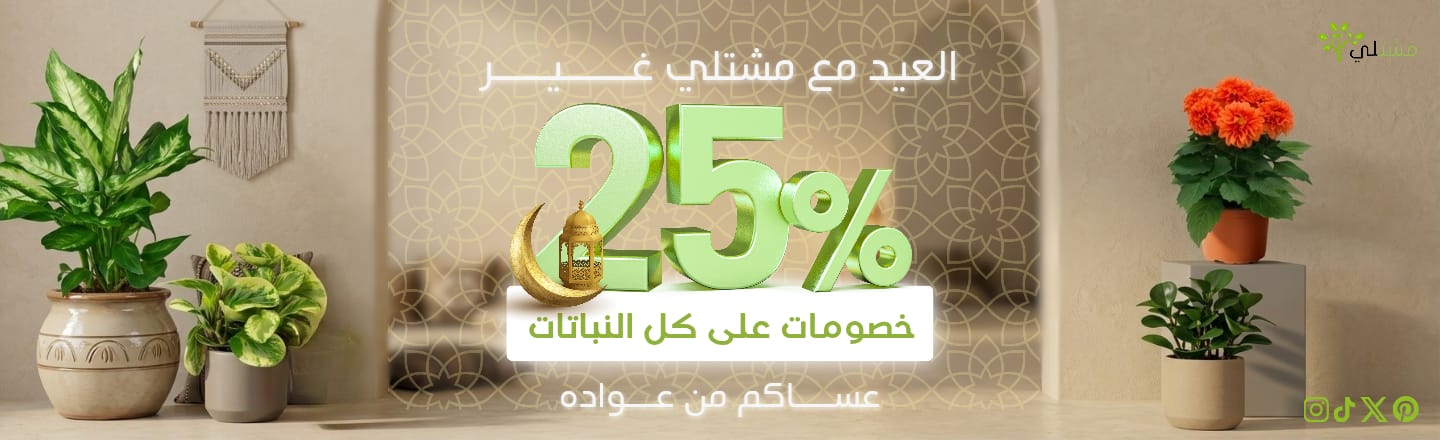 عروض اليوم الوطني