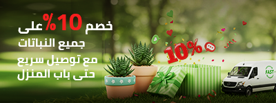 عروض اليوم الوطني