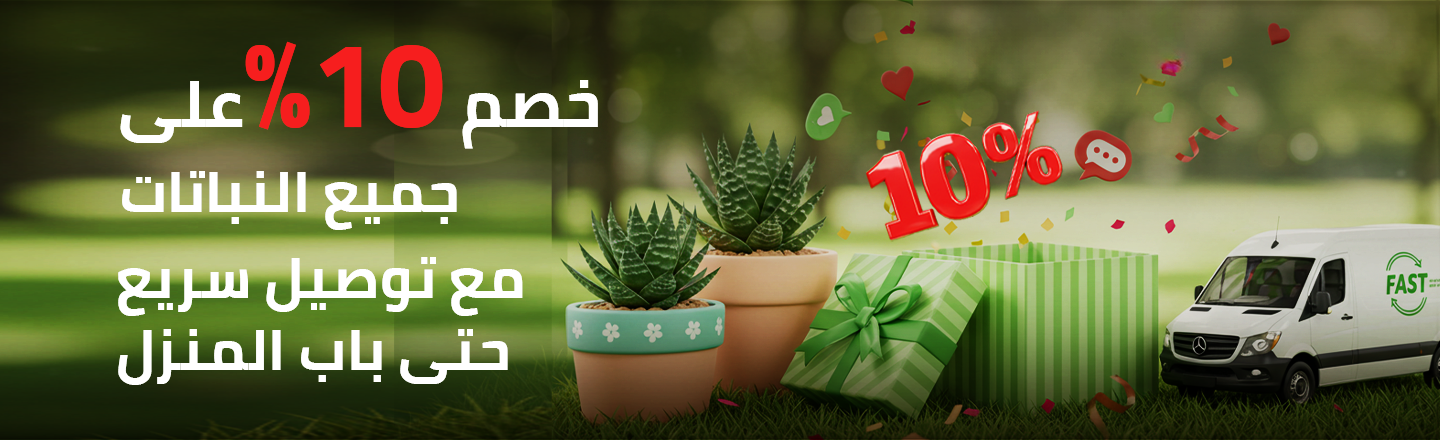 عروض اليوم الوطني