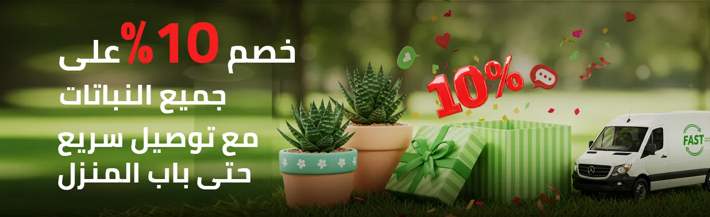 عروض اليوم الوطني
