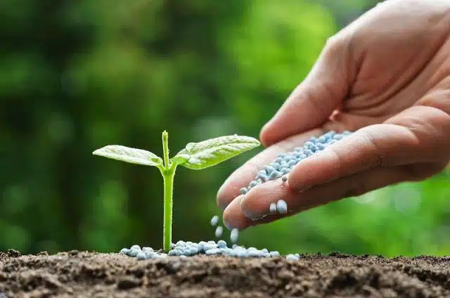 استخدام السماد في الحدائق