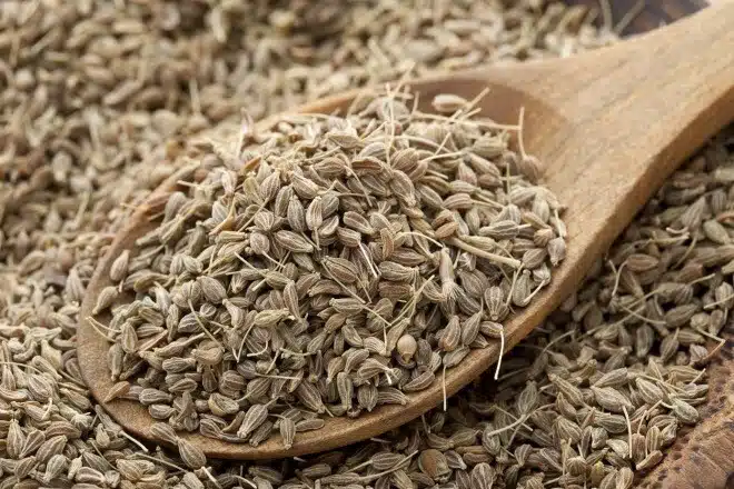 فوائد اليانسون واستخداماته المتعددة
