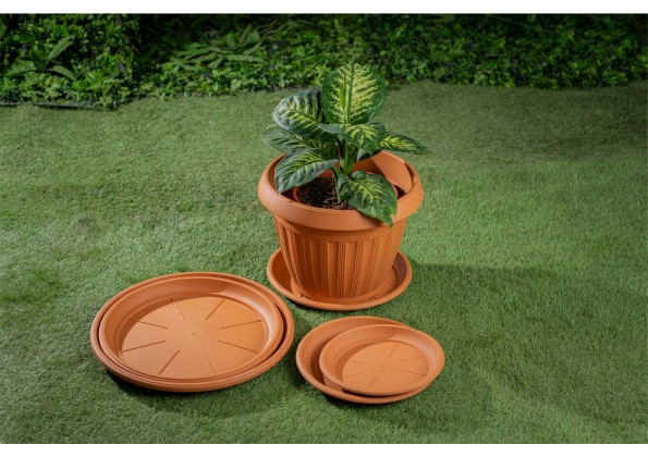 أهمية أطباق المراكن لصحة نباتاتك وجمال منزلك