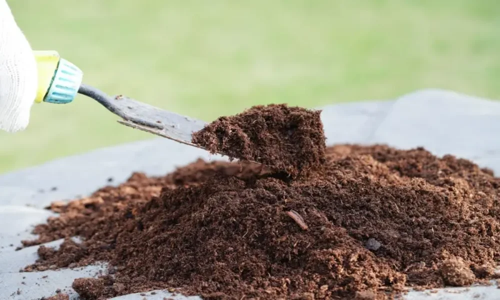 البيتموس الطبيعي Peat Moss تربة مخصصة للمراكن الزراعية