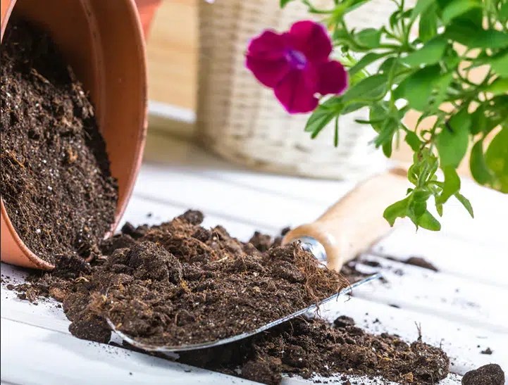 خلطات التربة الزراعية : أنواعها المختلفة و مميزاتها